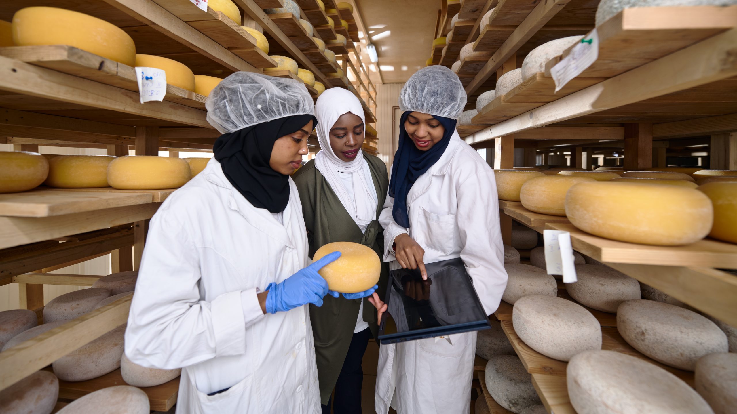 middle eastern black african muslim female business woman team in local cow and goat milk cheese food production company